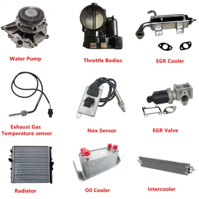 Auto Spare Parts Throttle Bodies Egr Valves Egr Cooler Air Conditioner System Cooling System